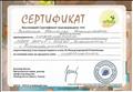 Сертификат за подготовку участников первого этапа IX Международной Олимпиады по основам наук по предмету информатика в 2012-2013 учебном году
