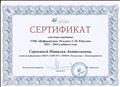 Сертификат участника апробации УМК "Информатика. 10 класс" С.М. Юнусова 2013-2014 учебного года, Москва, 2014